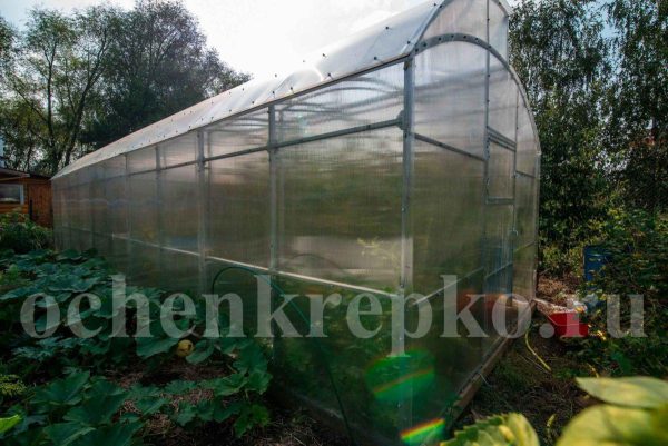 Теплица Миттлайдер 3,5м фото 4