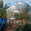 Теплица Миттлайдер 3,5м фото 5