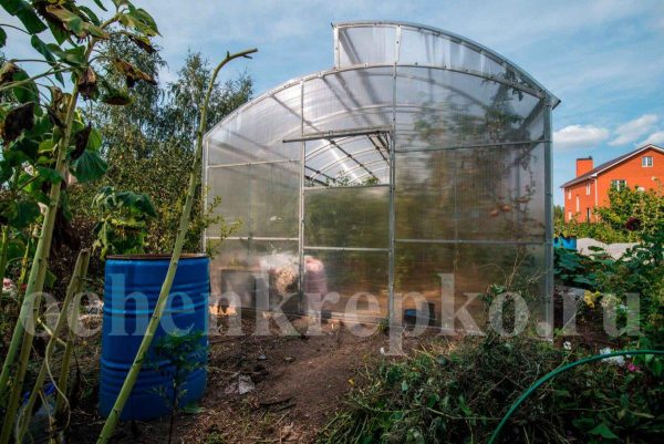 Теплица Миттлайдер 3,5м фото 5