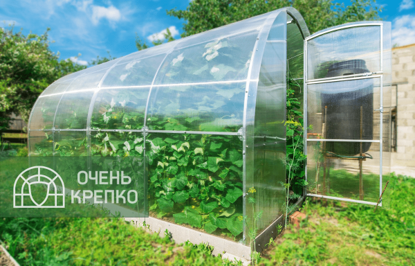 Теплица Звезда фото 9