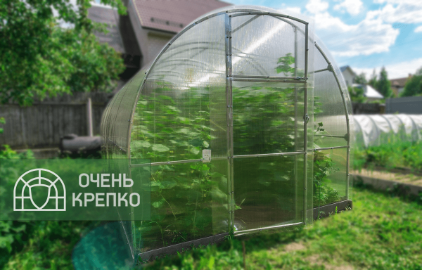 Теплица Звезда 3м фото 5