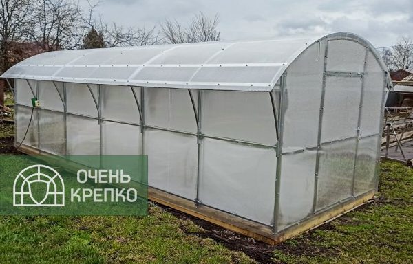 Теплица Гриб фото 3