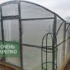 Теплица Гриб фото 5