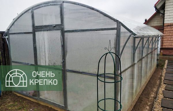 Теплица Гриб фото 5