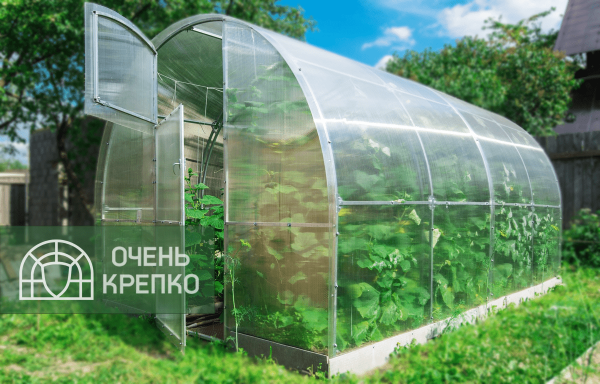 Теплица Звезда 3м фото 8