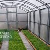 Теплица Гриб фото 4