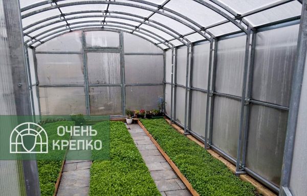 Теплица Гриб фото 4