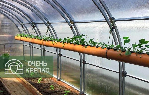 Теплица Усиленная Титан 3м фото 10