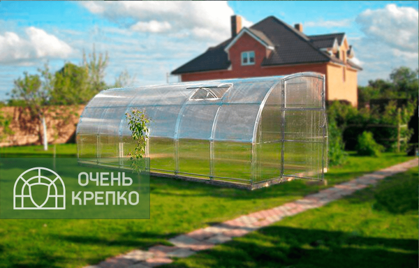 Теплица Звезда 2,5м фото 6