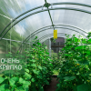 Теплица Звезда 3м фото 7