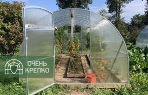 Теплица Звезда 3м