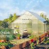Теплица Алтайская сказка 3м фото 2