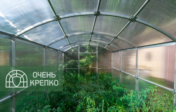 Теплица Квадратная 2,5м фото 1