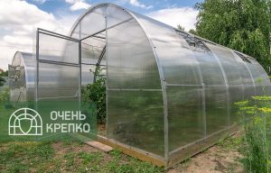 Теплица Усиленная