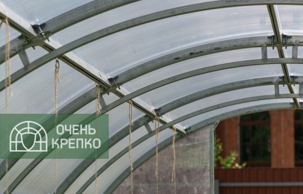 Теплица Усиленная 2,5 м Люкс фото 3