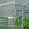 Теплица Усиленная 2,5 м Люкс фото 2
